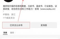 45页|2025年电竞周邊(biān)外設(shè)行业欧洲(zhōu)市场开拓战略(lüè)分析报告