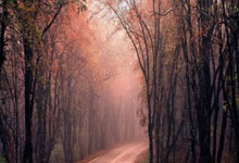 虎牙直播收罚单,林松涛节衣缩食