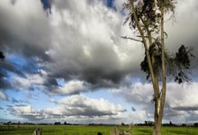 厦门足球,重返职业联赛!