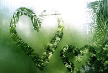 电竞選(xuǎn)手为何偏爱红魔手机?