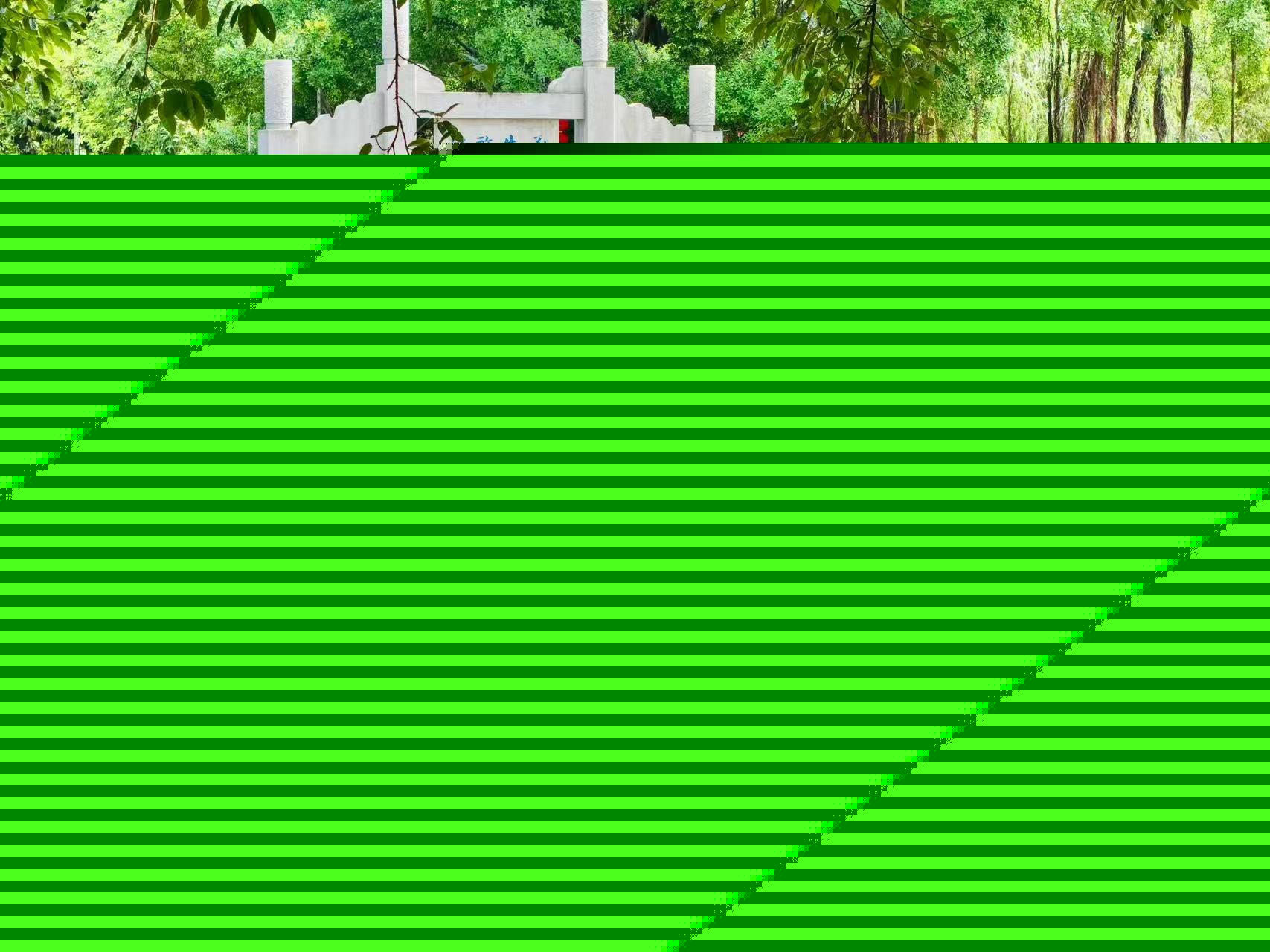 翰林文化节破圈，千年松塘焕新