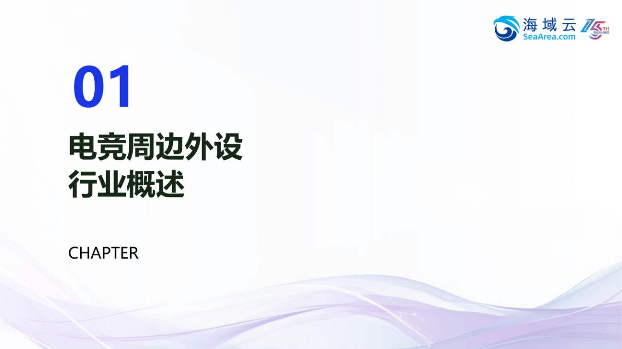 45页|2025年电竞周边外设行业欧洲市场开拓战略分析报告
