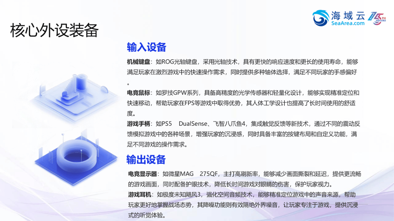 45页|2025年电竞周边外设行业欧洲市场开拓战略分析报告