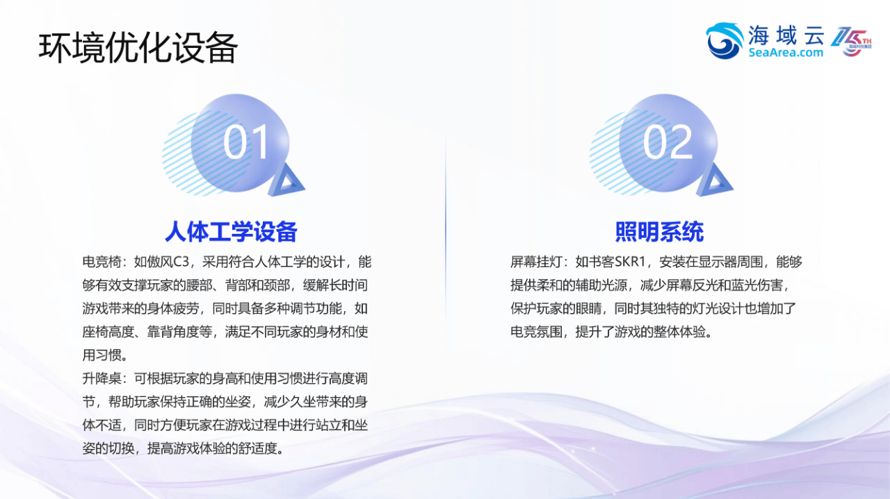 45页|2025年电竞周边外设行业欧洲市场开拓战略分析报告